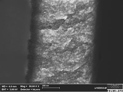 Magnetic Characteristics of Ni-Filled Luminescent Porous Silicon